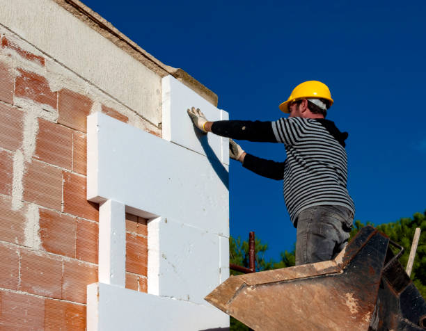 Best Insulation for New Construction  in Francisville, KY
