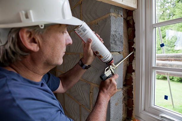 Best Insulation for New Construction  in Francisville, KY